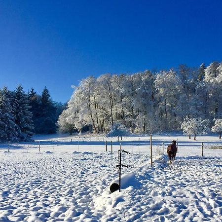 Emma Lägenhet Burladingen Exteriör bild