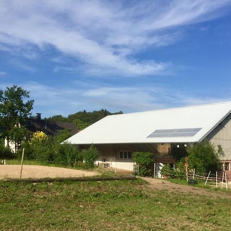 Emma Lägenhet Burladingen Exteriör bild