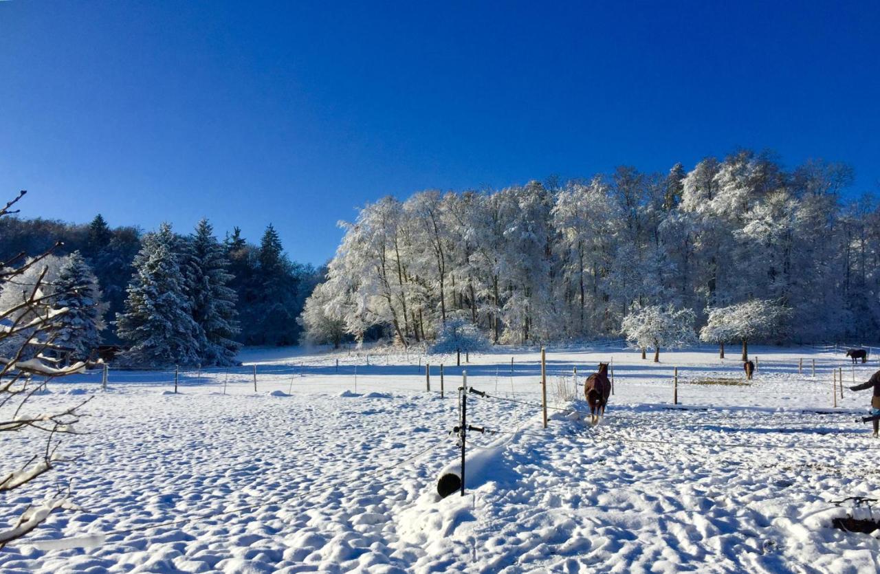 Emma Lägenhet Burladingen Exteriör bild